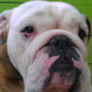 Meet your Posher, Lynn